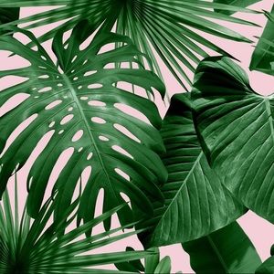 Meet your Posher, Rose